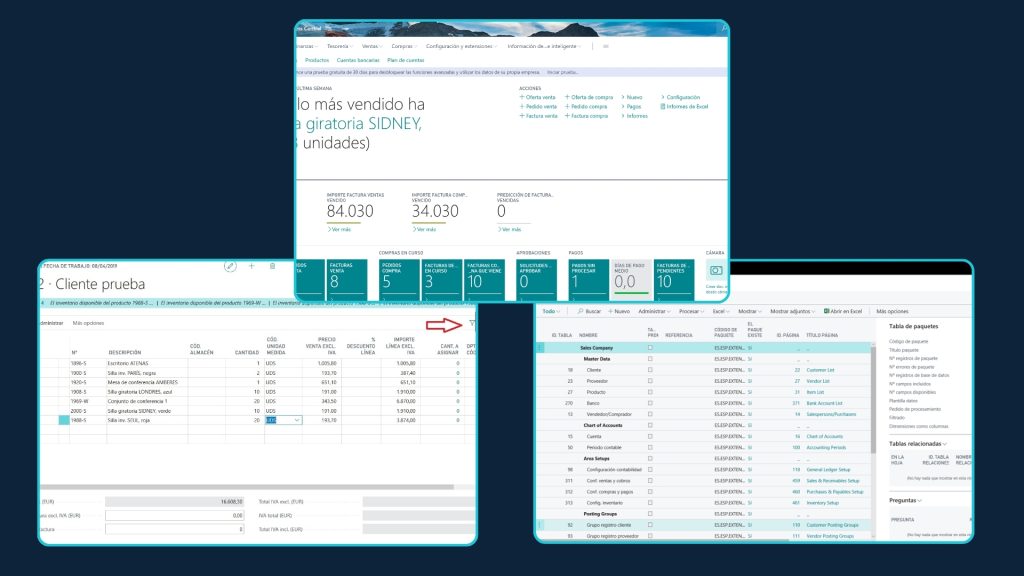 Interfaz de gestión de datos empresariales en Business Central – ventas, productos y paquetes de datos